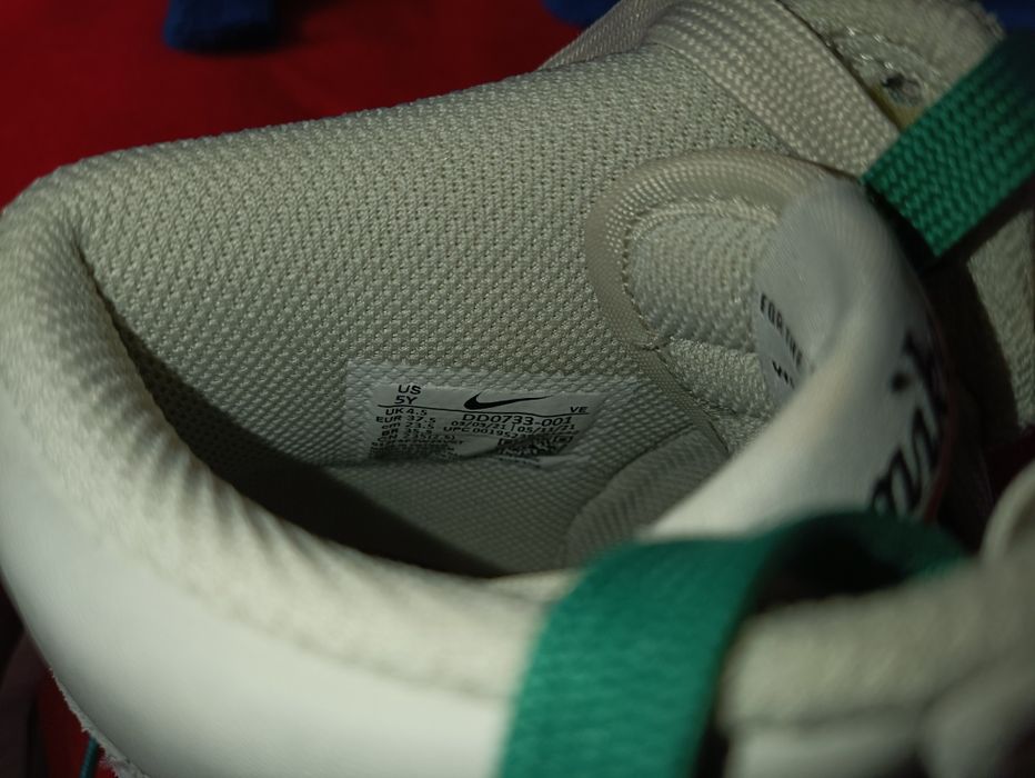 Nike Dunk First use Green Noise