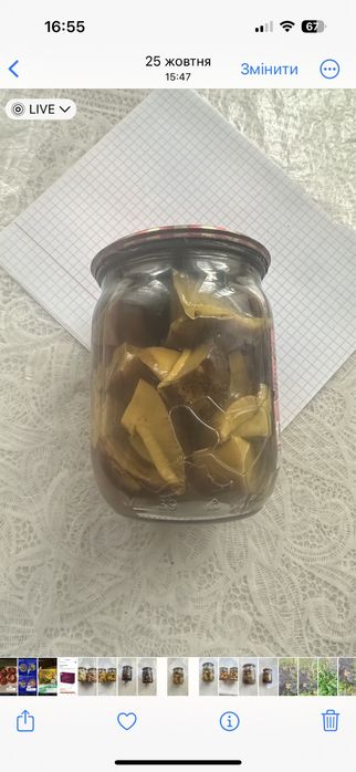 Гриби мариновані опеньки польсий білий синяк