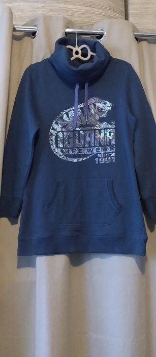 Firmowa bluza Iguana USA