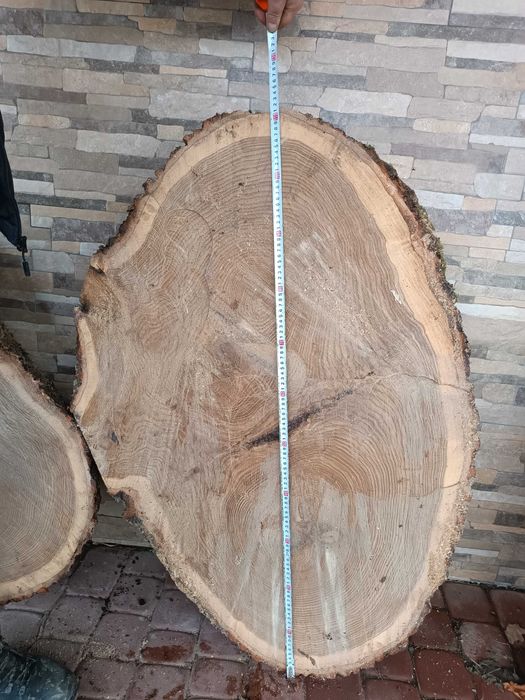 Sprzedam Plastry dębowe