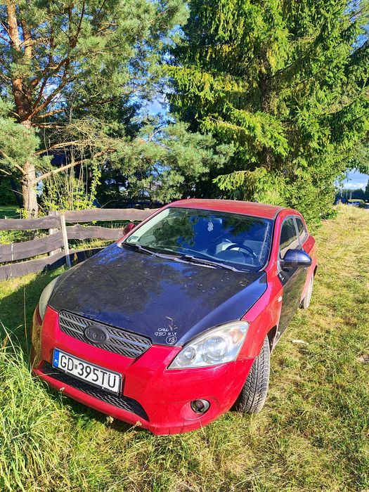 Kia Pro_Cee'd