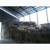 Продам сіно лугове