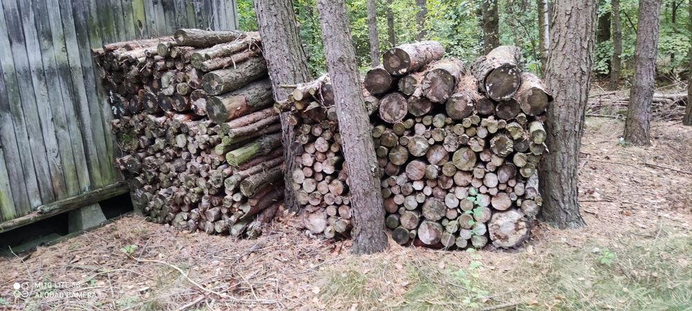 Suche drewno opałowe