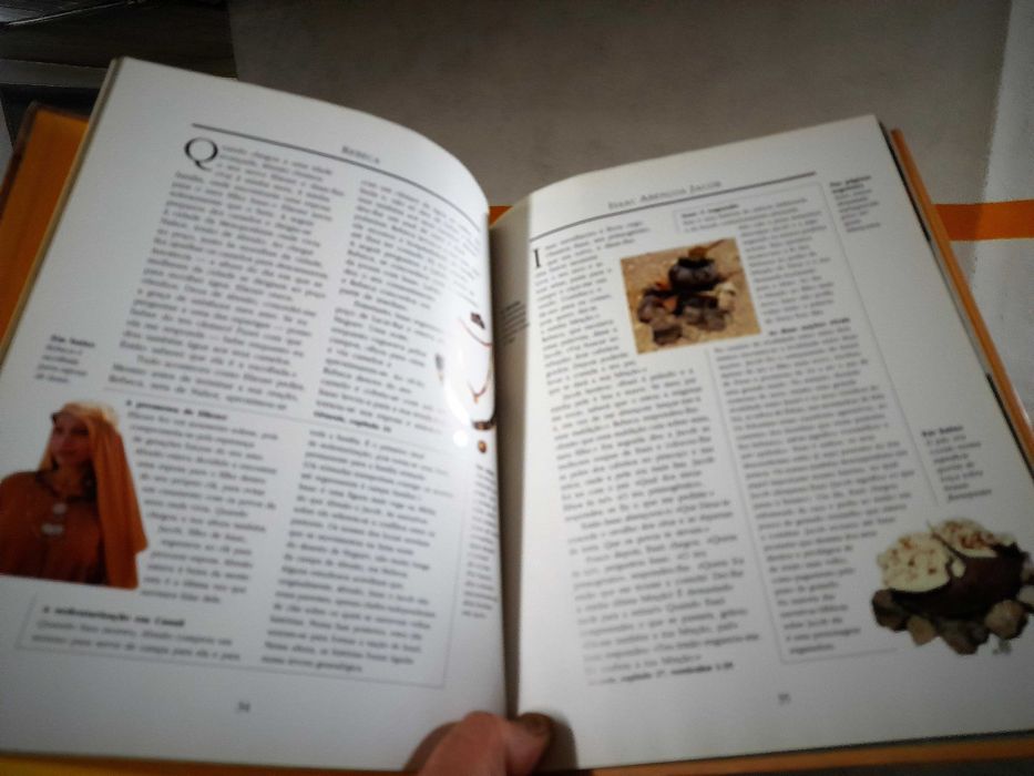 A Bíblia ao Vivo; Novo e Antigo Testamento ( envio grátis)