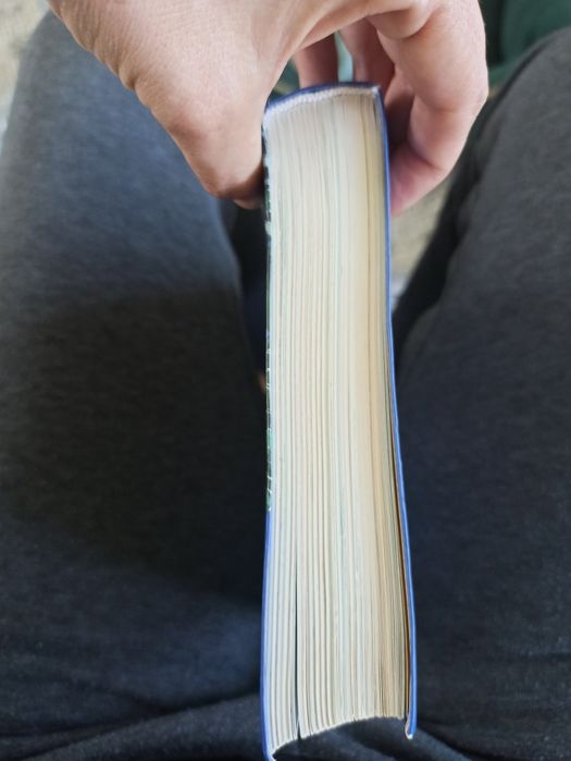 Ilustrowane historie na dobranoc 351 stron