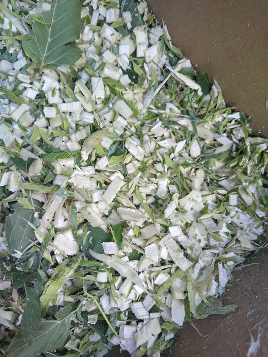 Щіпоріз гілкоріз веткорез бензиновый7л/с или электродвигатель 220\380