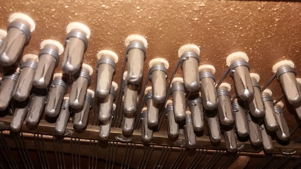 Pianino Finger polecam