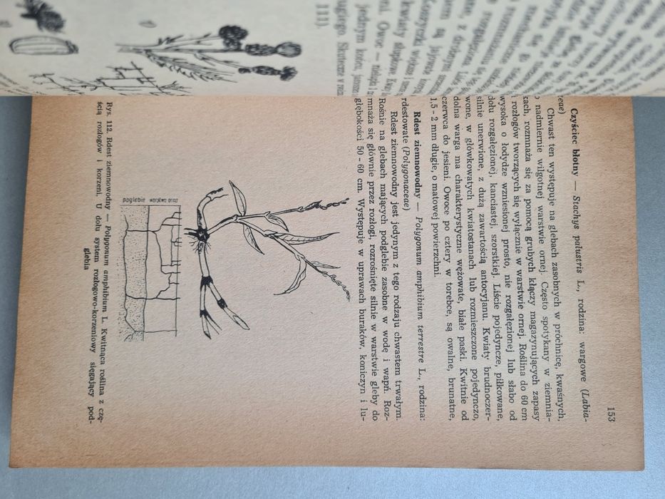 Ogólna uprawa roli i roślin - Książka