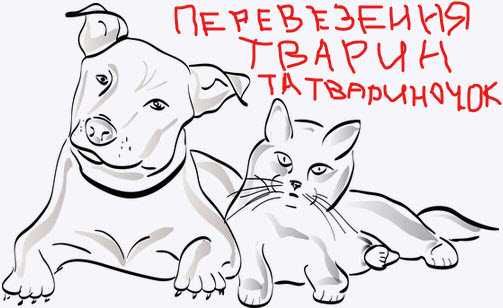 Евакуація тварин, перевезення тварин, доставка тварин