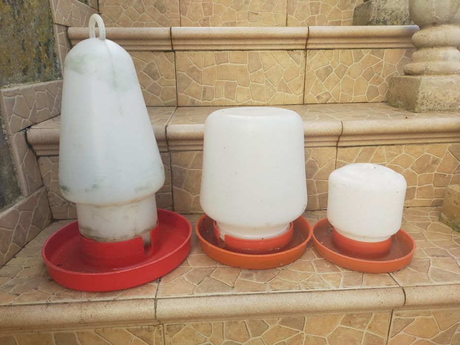 Bebedores para galinhas
