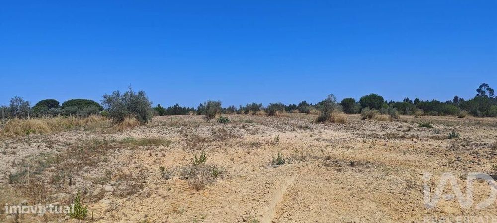 Terreno para construção em Branca de 7020,00 m2