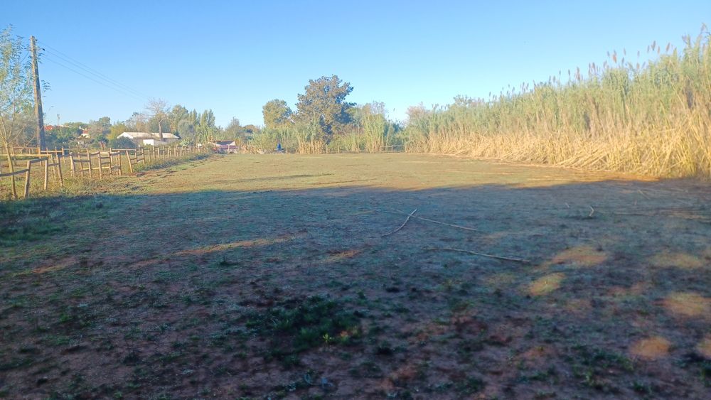5.000 m2 a 300m do açude em Coimbra com infraestruturas para cavalos