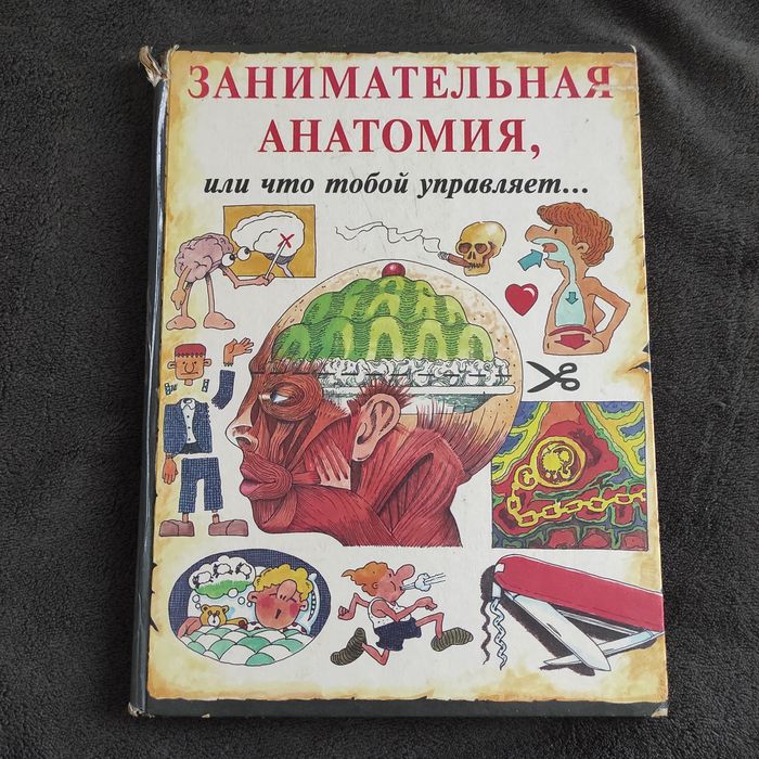 Занимательная анатомия Росмэн