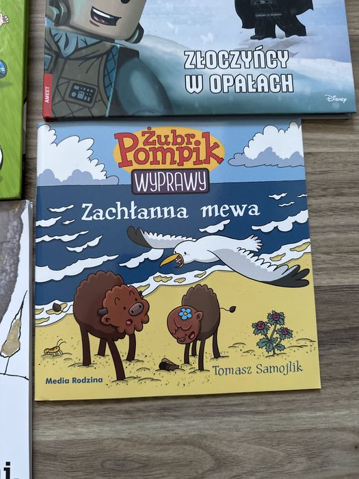Zestaw 12 książek dla przedszkolaka