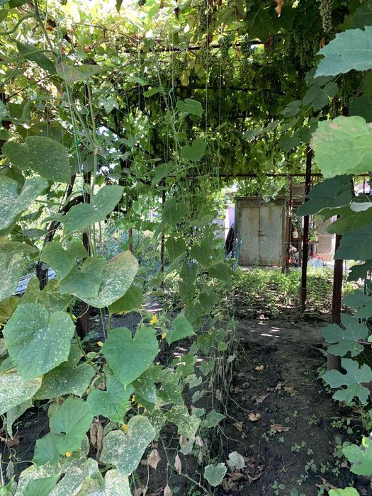 Продается дом Центр