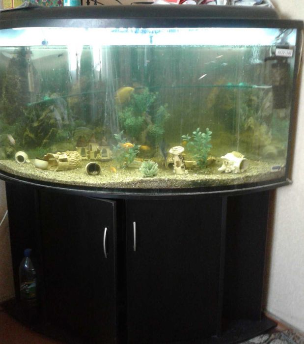 Акваріум 340літрів, грунт 10л