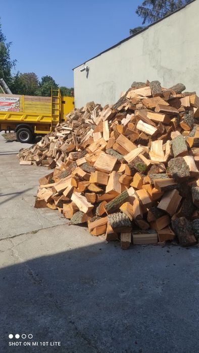 Drewno suche dąb buk grab olcha brzoa sosna