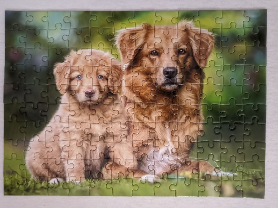 Пазли дитячі лотом