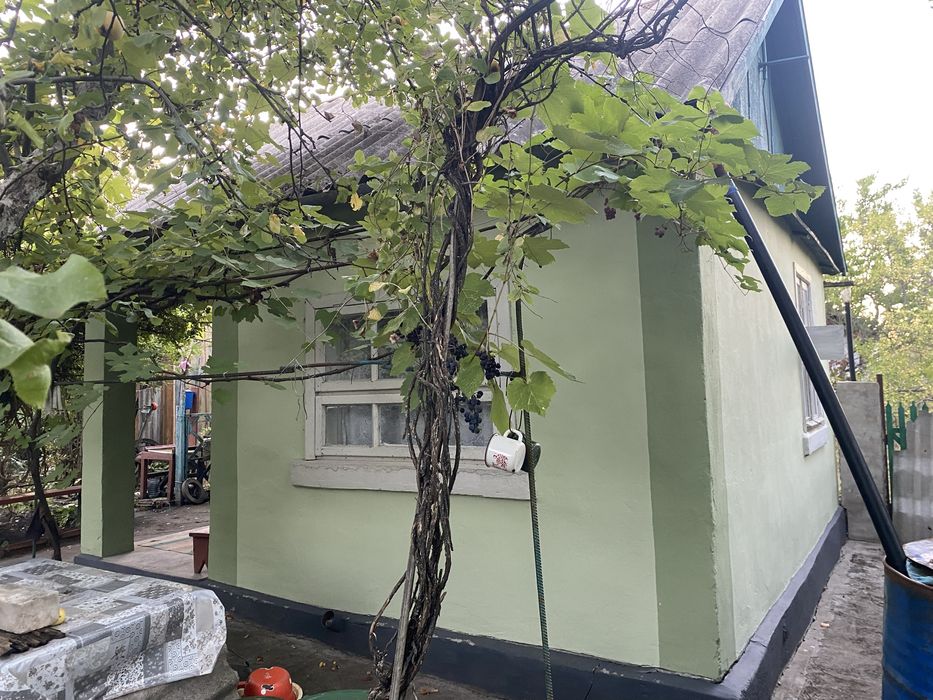 Дачний невеликий будинок