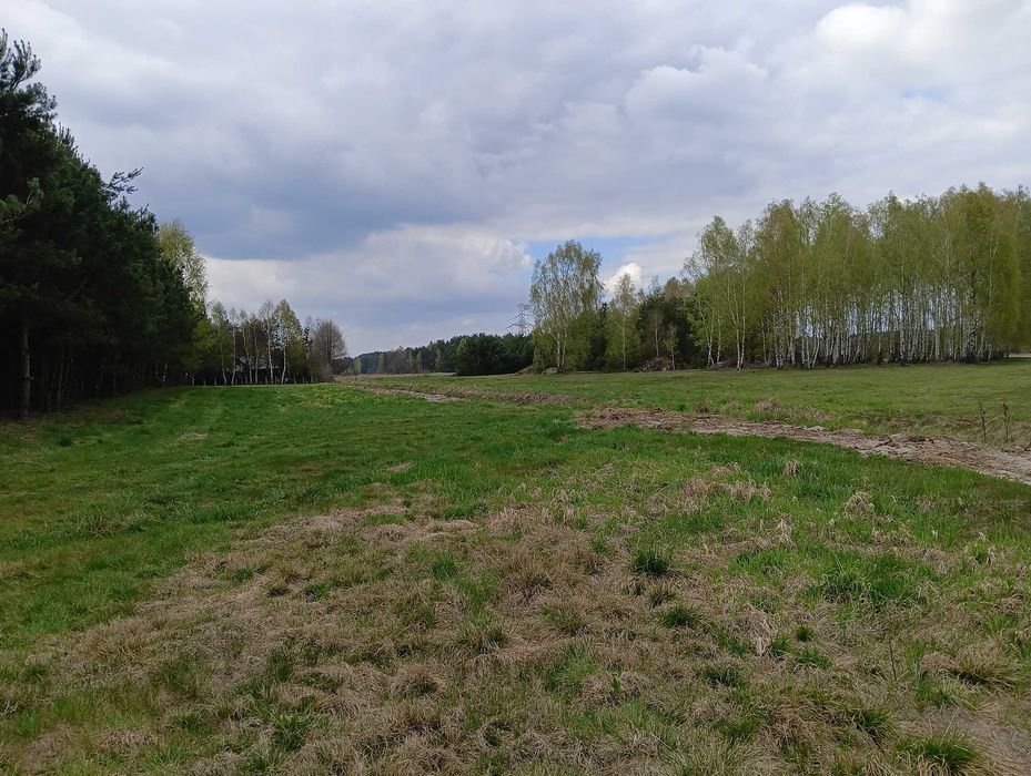 działka budowlana 11ar.( warunki zabudowy)