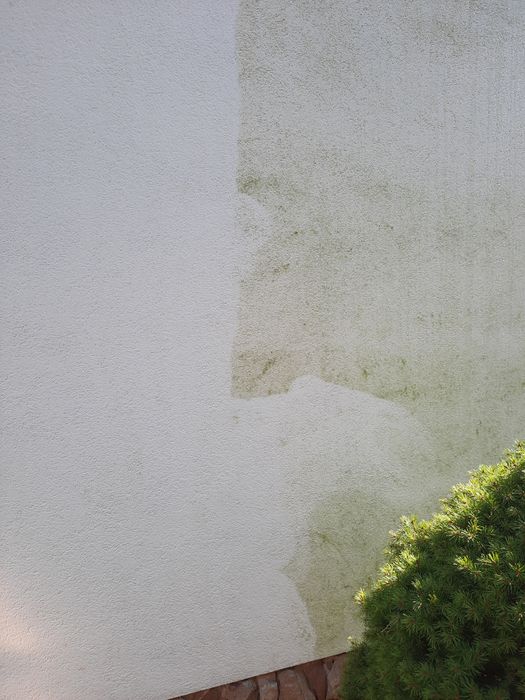 Usługi ogrodnicze Pielęgnacja ogrodu