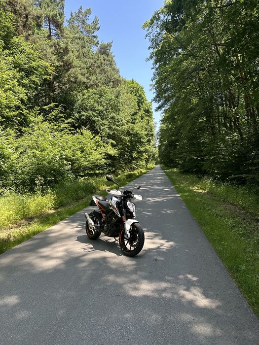 KTM Duke 125 KAT.B/A1