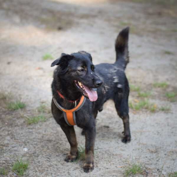 Punto nadal czeka na dom