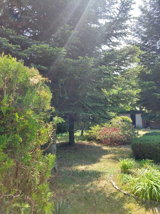 Sprzedam działkę rekreacyjno-ogrodową w Kulowie