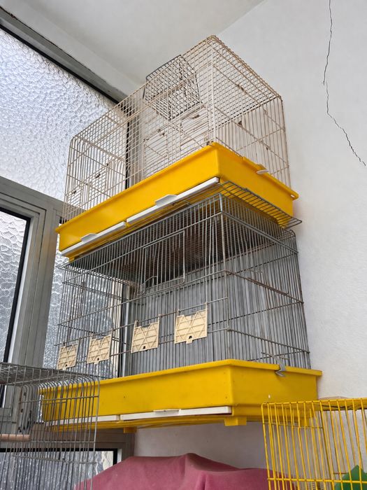 4 gaiolas para aves