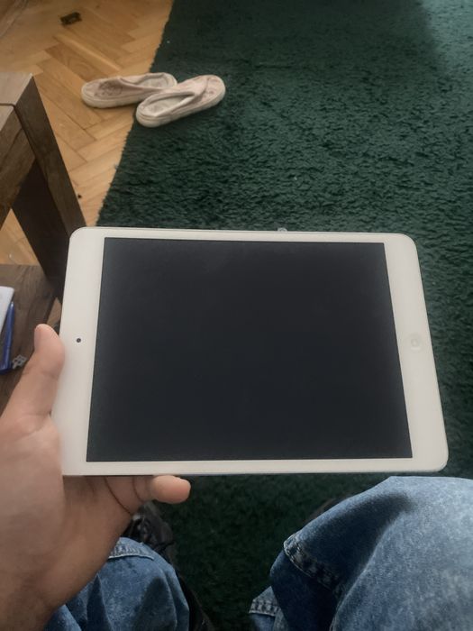 Ipad mini 2 ipados 12.7