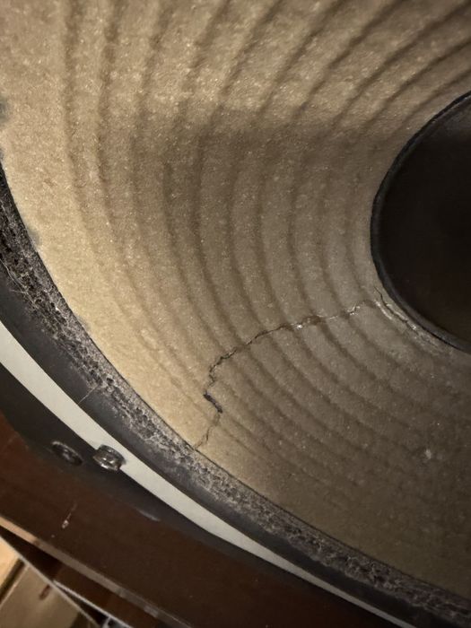 Pioneer hpm-110 do odnowienia kolumny