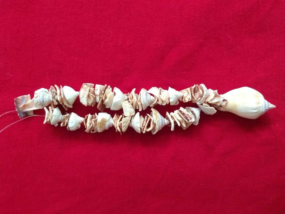 Ожерелье с ракушек.