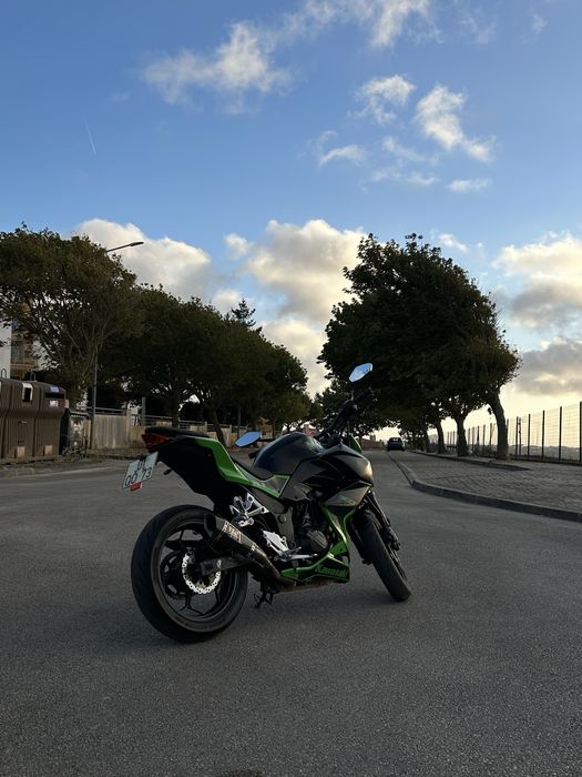 Kawasaki Z300 - Carta A2