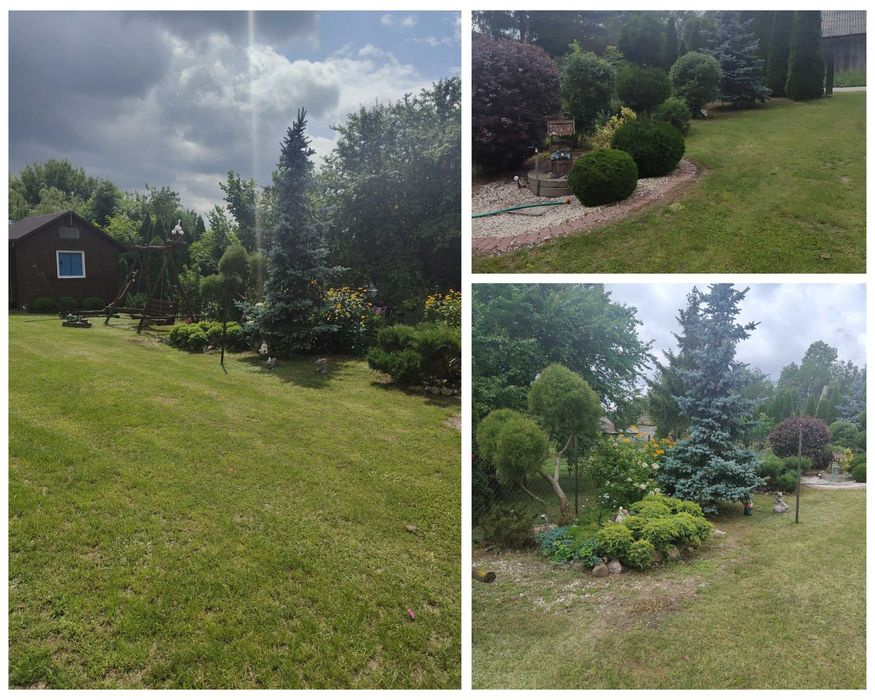 Atrakcyjna działka z dużym potencjałem Korczew