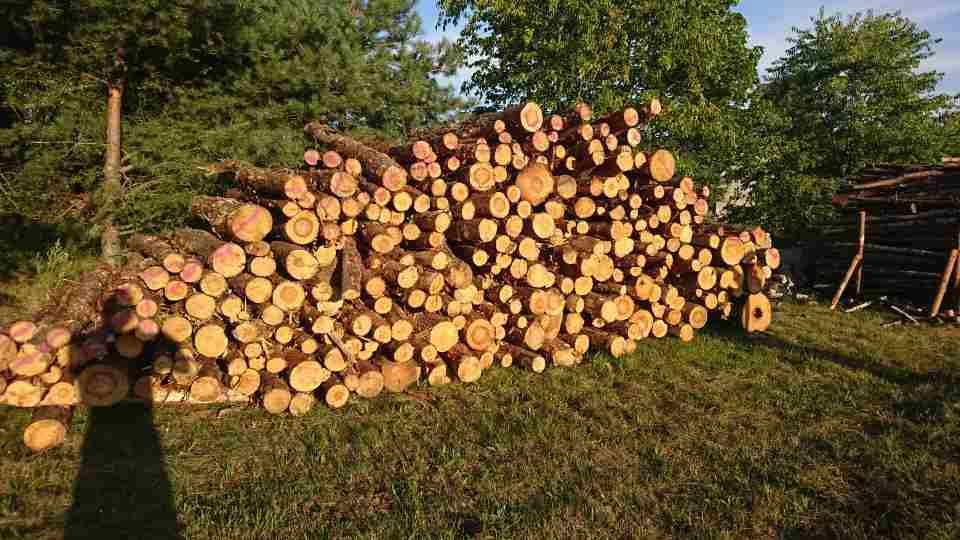 drewno opalowe SUCHE