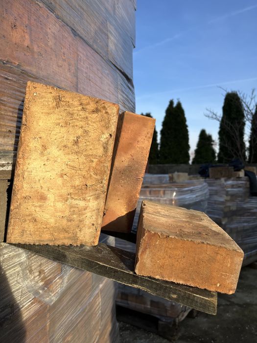 Cegła klasy 10 22x13,5x6