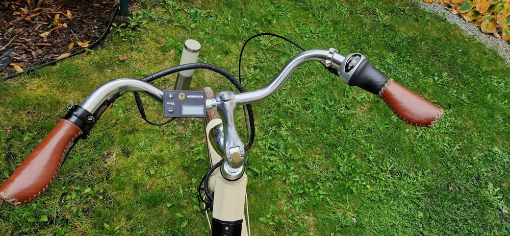 rower elektryk stalhasten