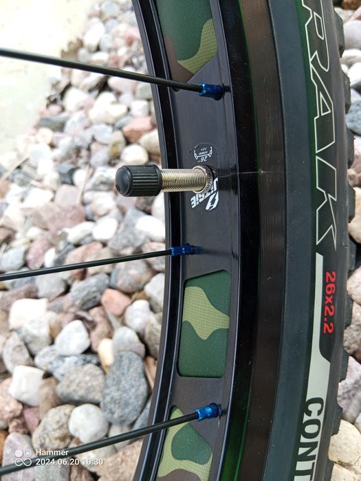 Rower trial echo zoo! zhi