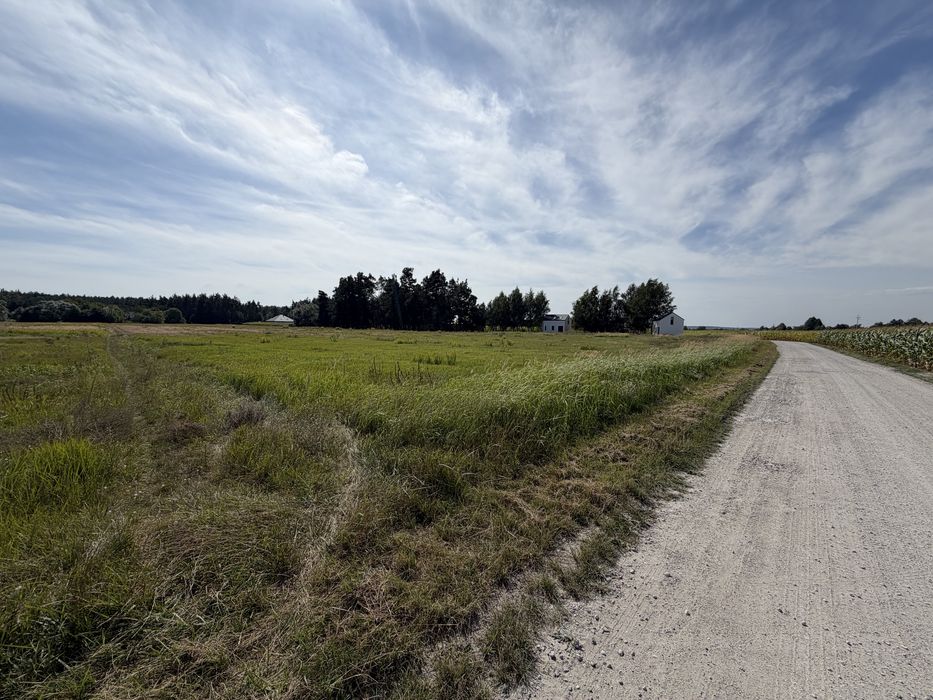 Działka na sprzedaż, warunki zabudowy, Chełmiński Park Krajobrazowy, w pobliżu jeziora 4,67ha - Widok 5