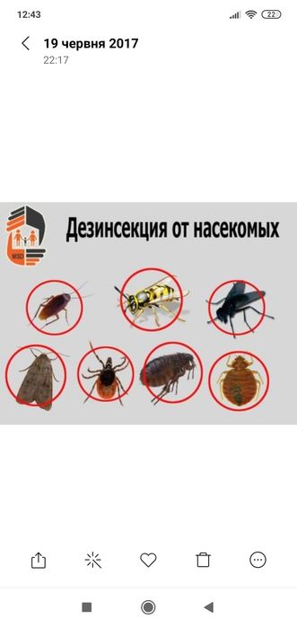 ТАРГАНИ (таракани) , клопи , блохи та інші шкідники