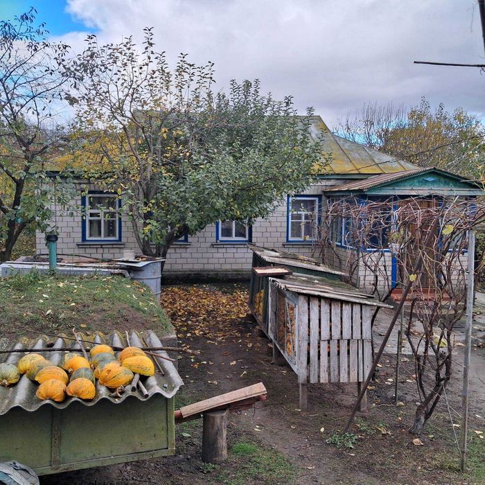 Розкіш Тиші: На Продаж Виставлено Заміський Будинок