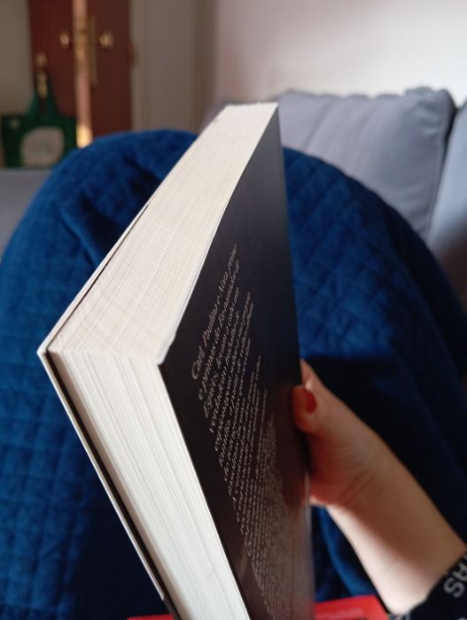 Livro como novo "espiões" de Marcel Beyer