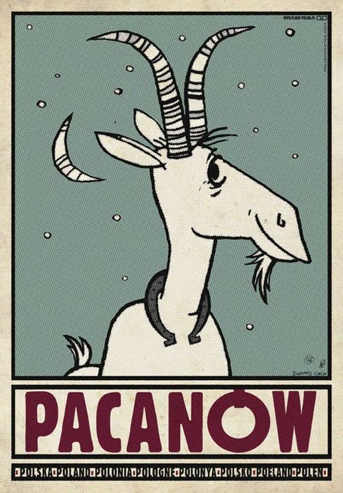 Pacanów Plakat 50x70 cm