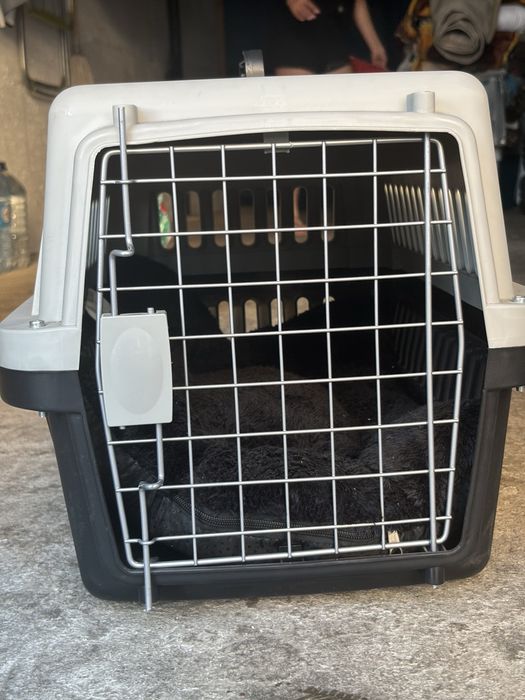 Transportadora de animais