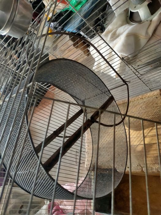 большая клетка для шиншил