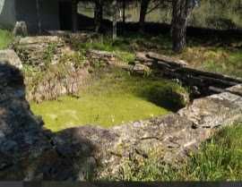 Terreno rustico isolado 1179m2 benquerencas castelo branco