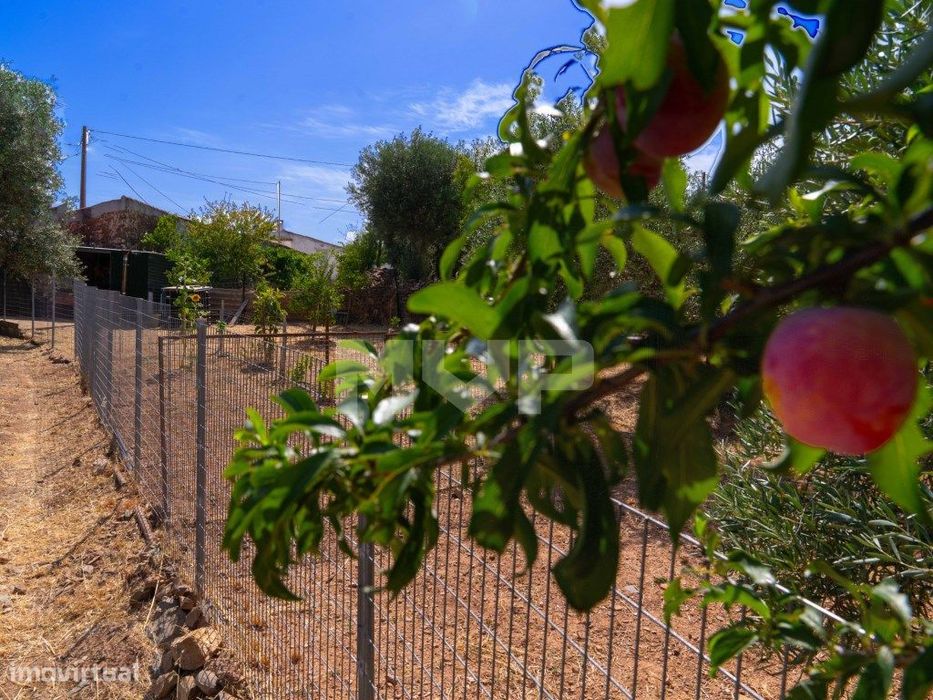 Moradia T2 com terreno em Martim Longo