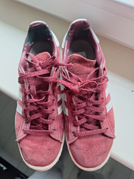 Adidas campus bordo
