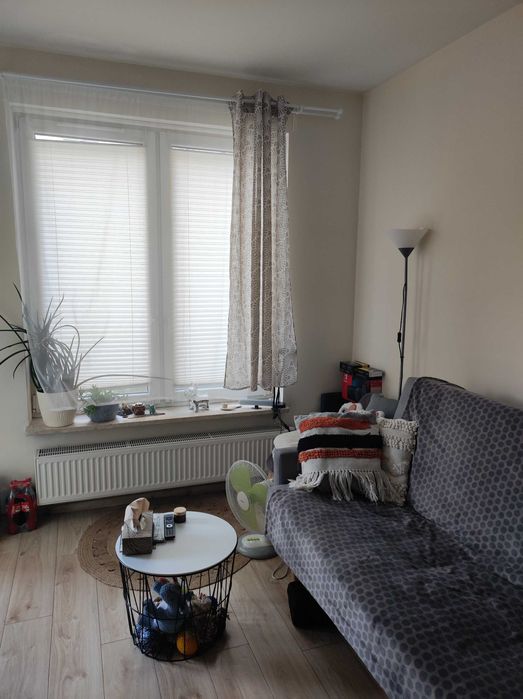 mieszkanie do wynajęcia, Łódź, Ptasia