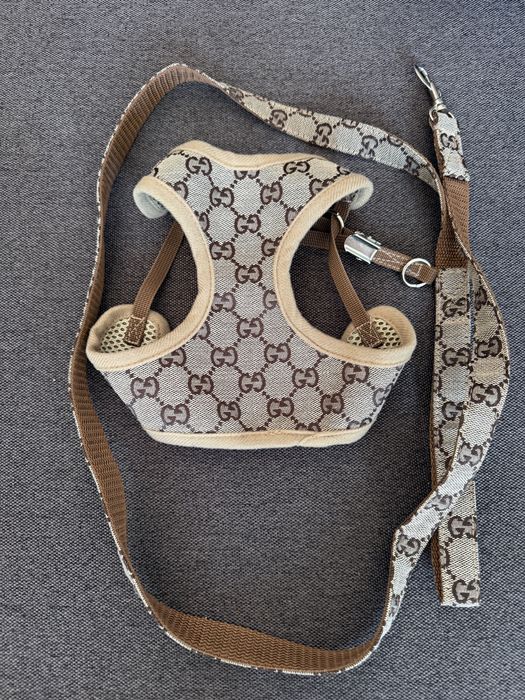 Шлея та повідець Gucci для песиків
